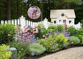 Cottage Garden Charm