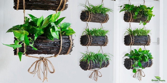 DIY Décor Greenery and Plants